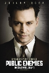 Public Enemies