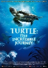 Turtle: The Incredible Journey