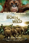 Born to be Wild