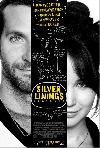 Silver Linings Playbook