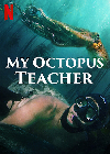 My Octopus Teacher